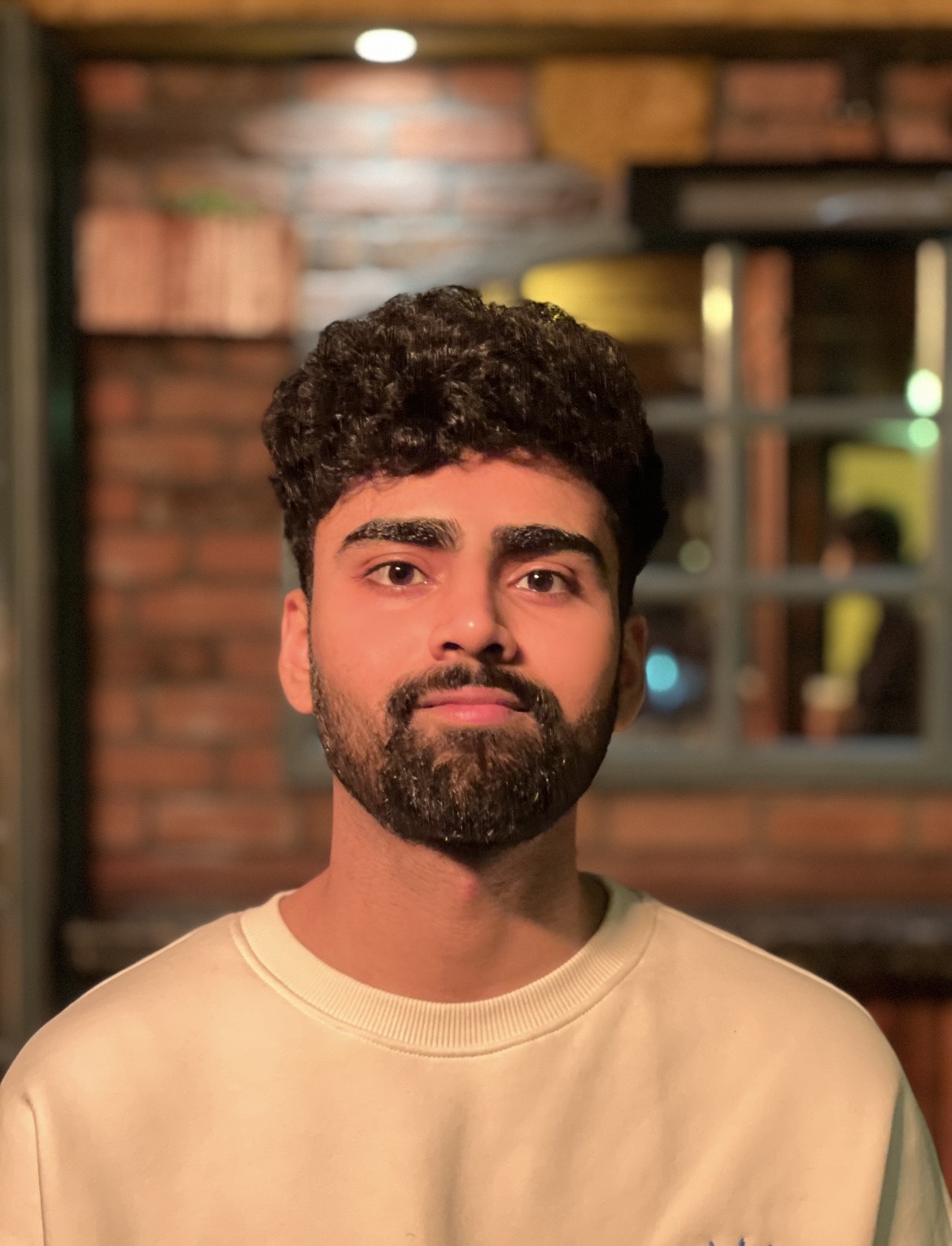 Revanth Krishna - Portfolio